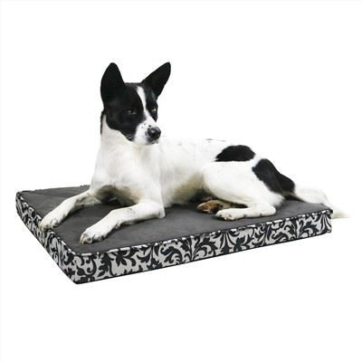 فلانلیٹ ڈھکا ہوا پالتو کتا