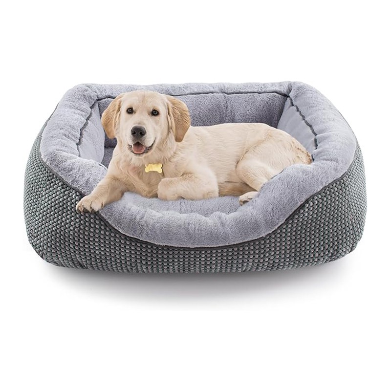 پالتو جانوروں کا بستر